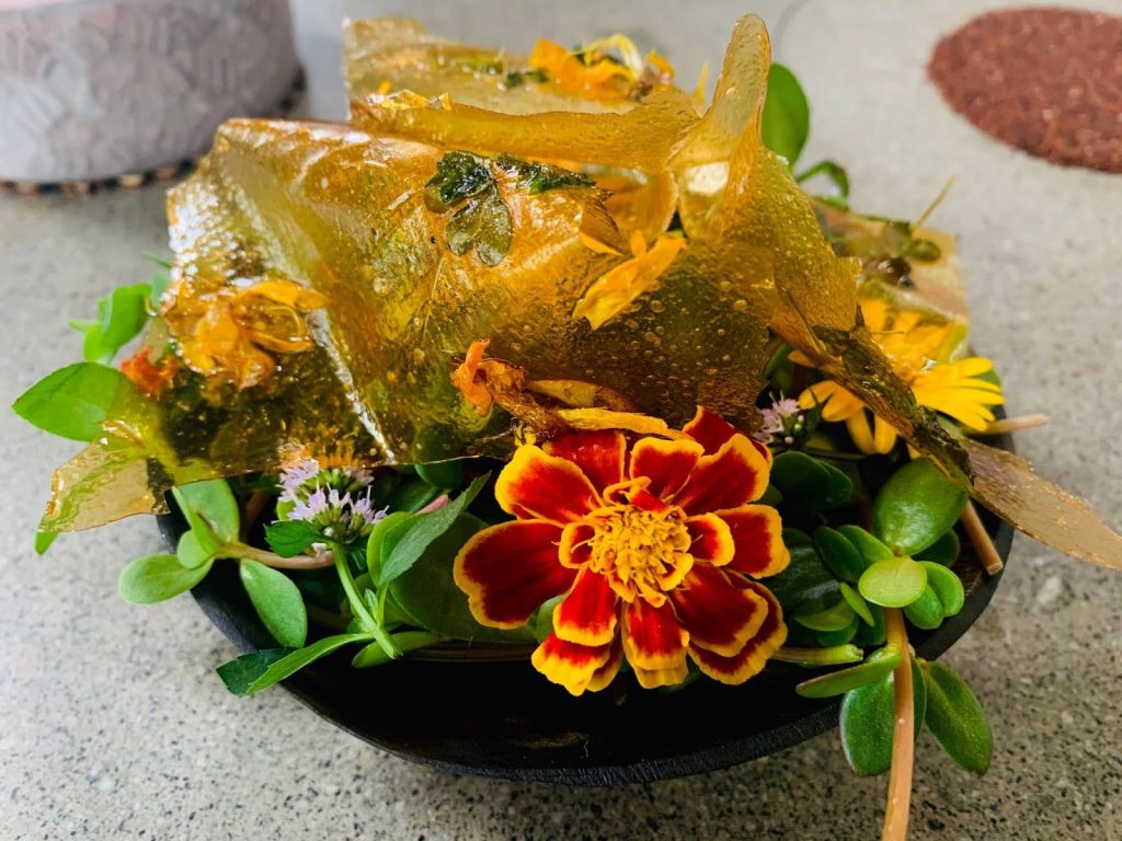 DESERTIC COAST (Cactus, Clams, Yuyo Seaweed) at Central in lima peru