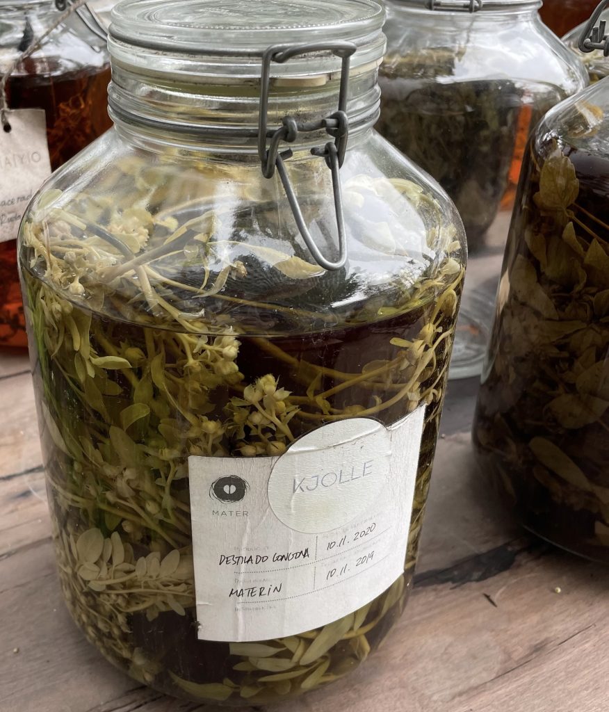herbs in a jar, Kjolle restaurant, lima peru