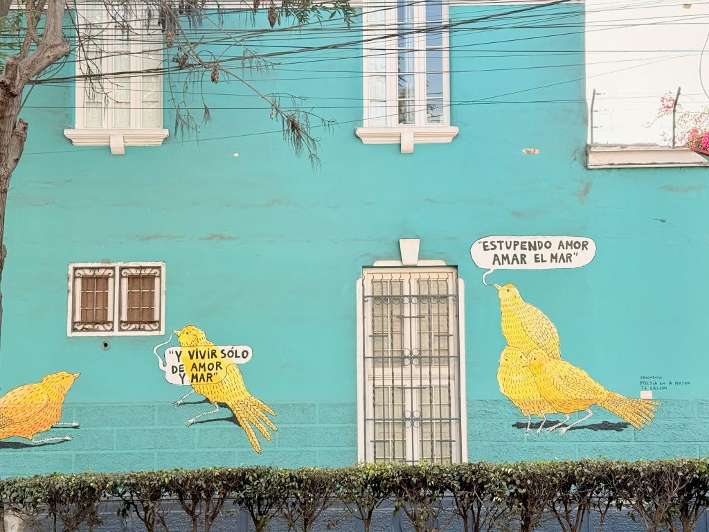 teal painted wall mural with yellow birds, lima peru, barranco district