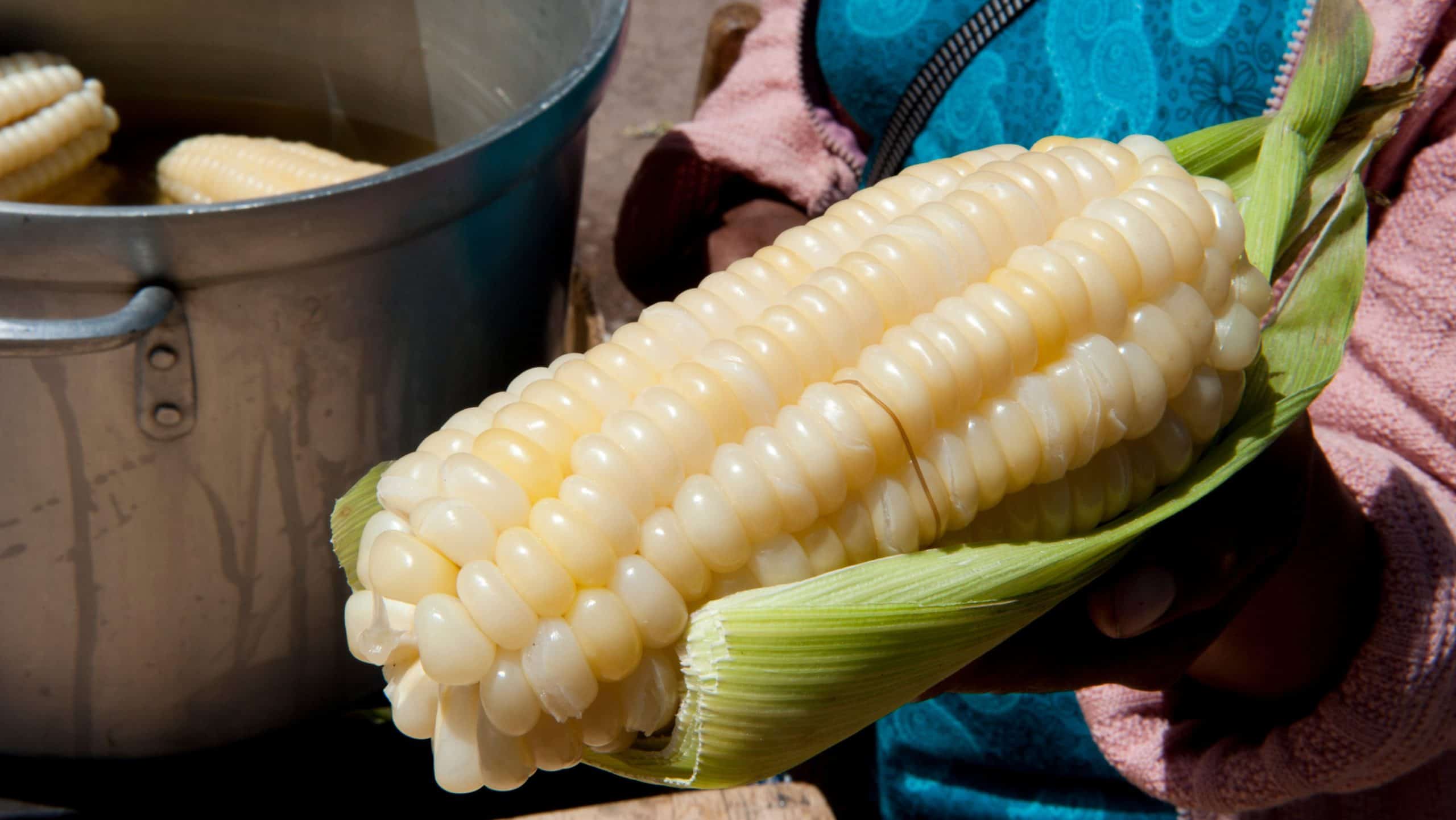 peruvian woman holding giant corn for ceviche