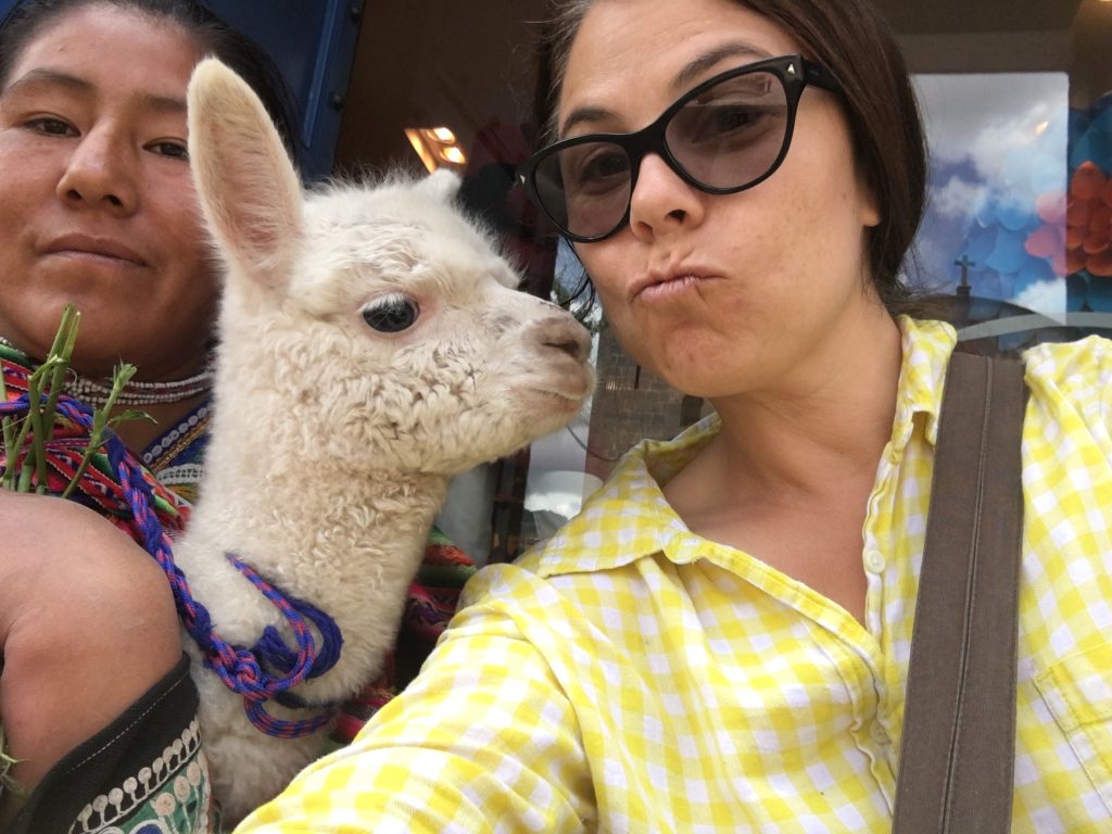 woman posing with cute young alpaca