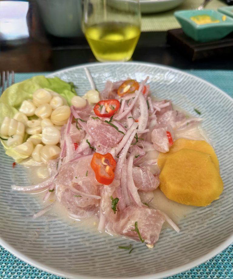 Close up on plate of fresh Peruvian Ceviche from La Mar Restaurant, when to eat ceviche