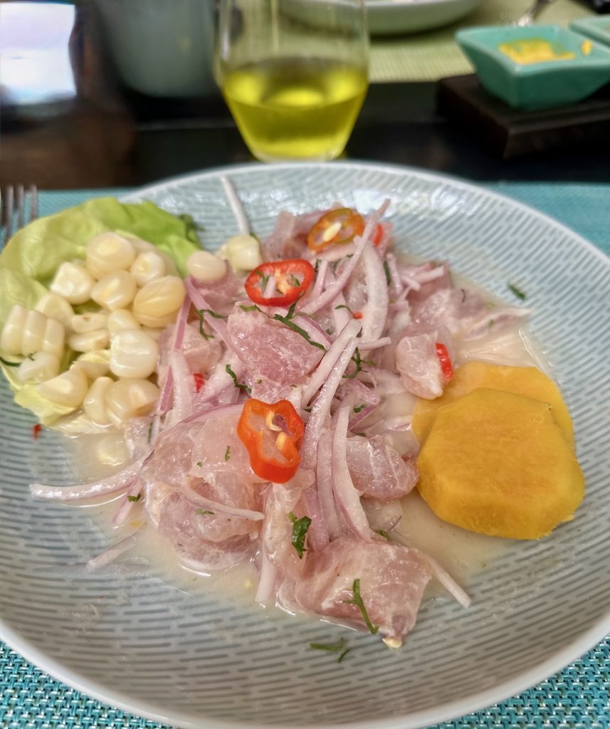 Close up on plate of fresh Peruvian Ceviche from La Mar Restaurant, when to eat ceviche