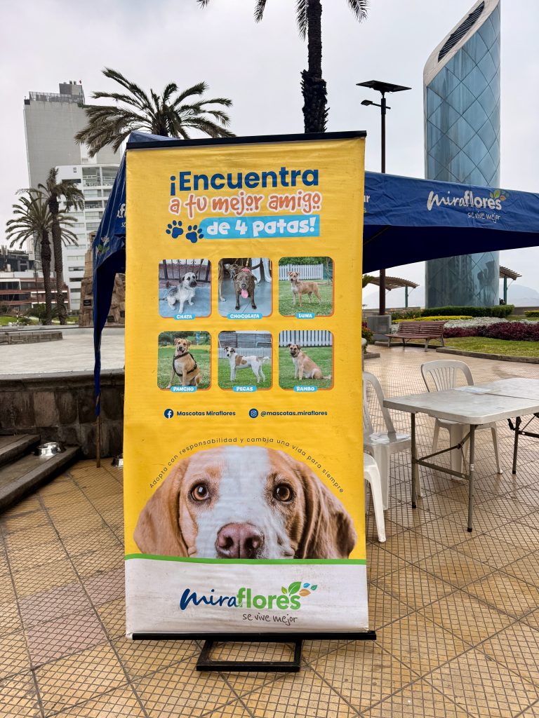 rescue dog booth in miraflores lima