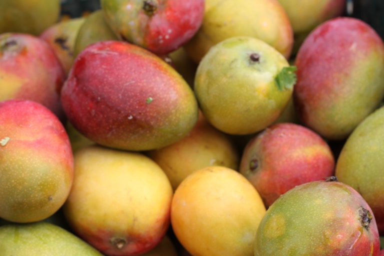 Lima’s Local Markets: Seasonal Fruits & Insider Tips