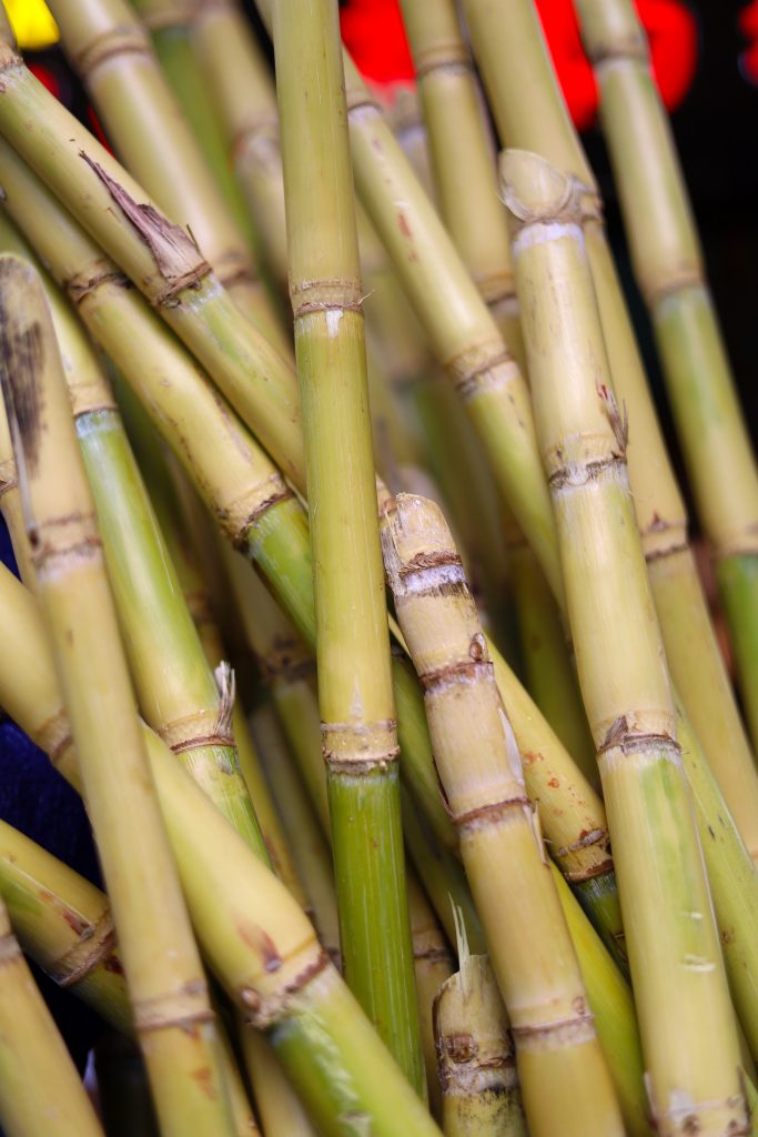 Caña de Azúcar (Sugarcane) at a local peruvian market