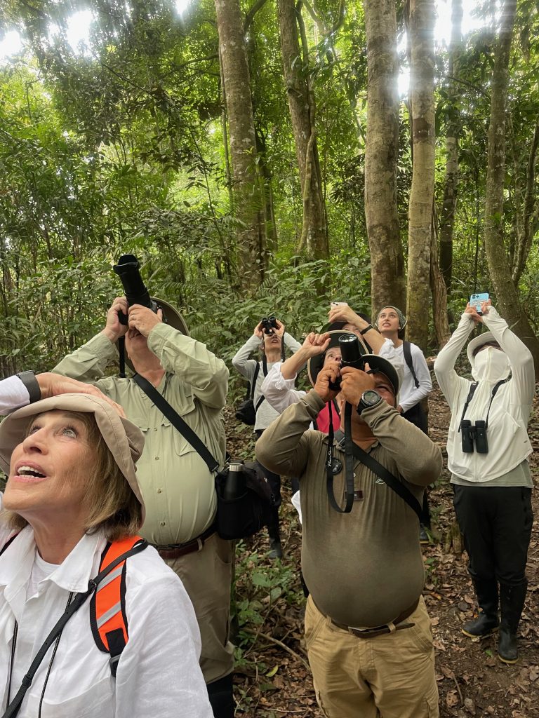 group of tourists sightseeing, looking up into canopy in peruvian amazon rainforest