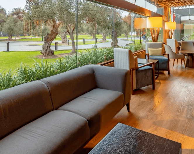 Sonesta Hotel El Olivar — The lounge overlooking El Olivar's centuries-old olive trees